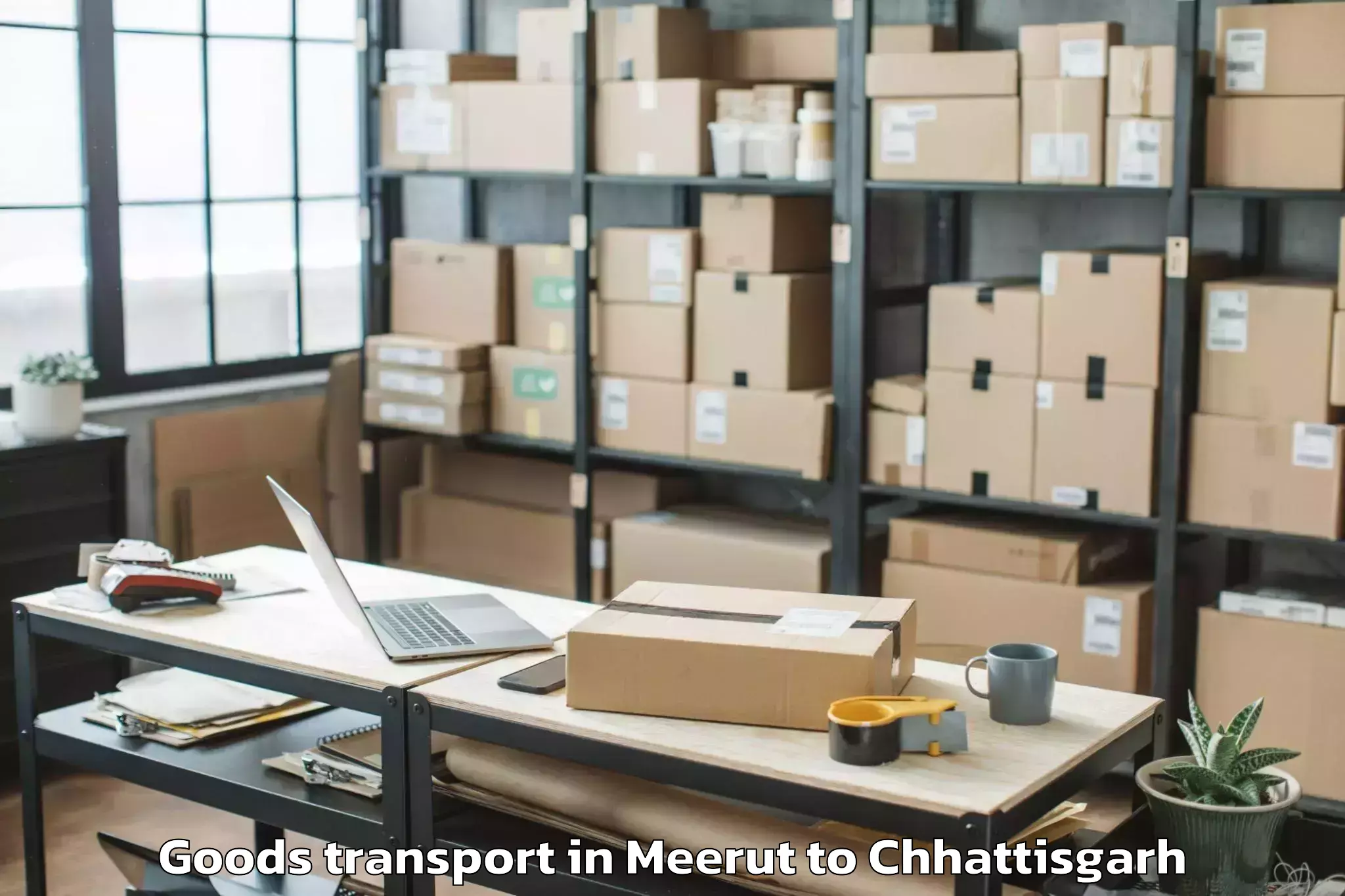 Book Meerut to Katghora Goods Transport Online